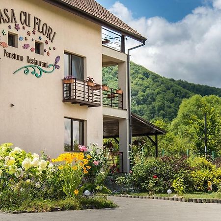 Pensiunea Casa Cu Flori Cisnădioara Zewnętrze zdjęcie