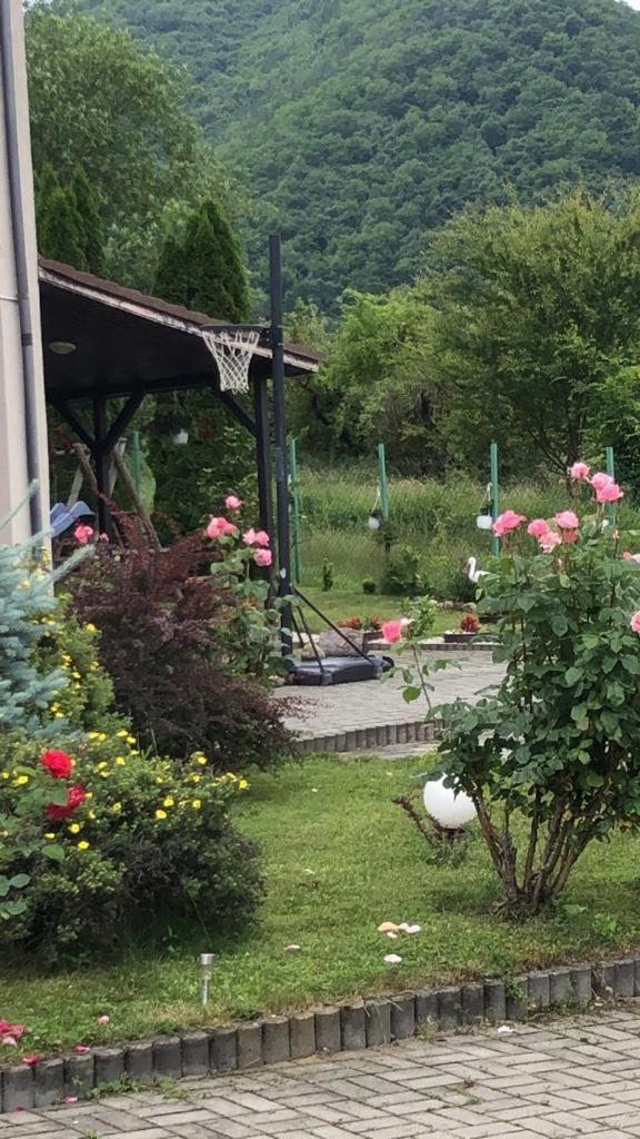 Pensiunea Casa Cu Flori Cisnădioara Zewnętrze zdjęcie