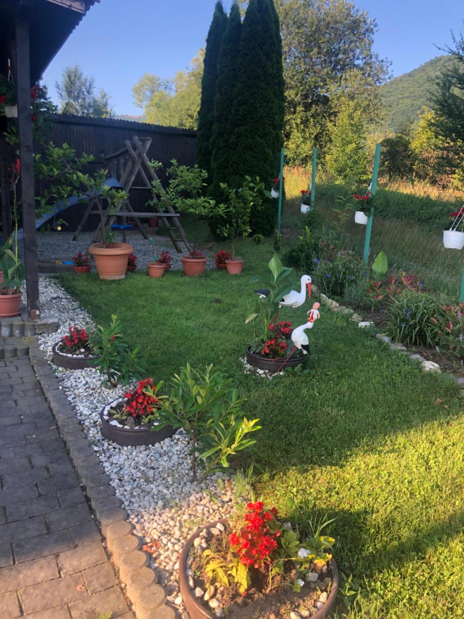 Pensiunea Casa Cu Flori Cisnădioara Zewnętrze zdjęcie
