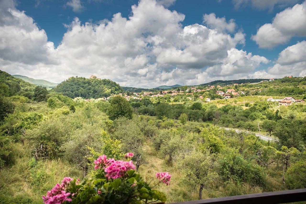 Pensiunea Casa Cu Flori Cisnădioara Zewnętrze zdjęcie