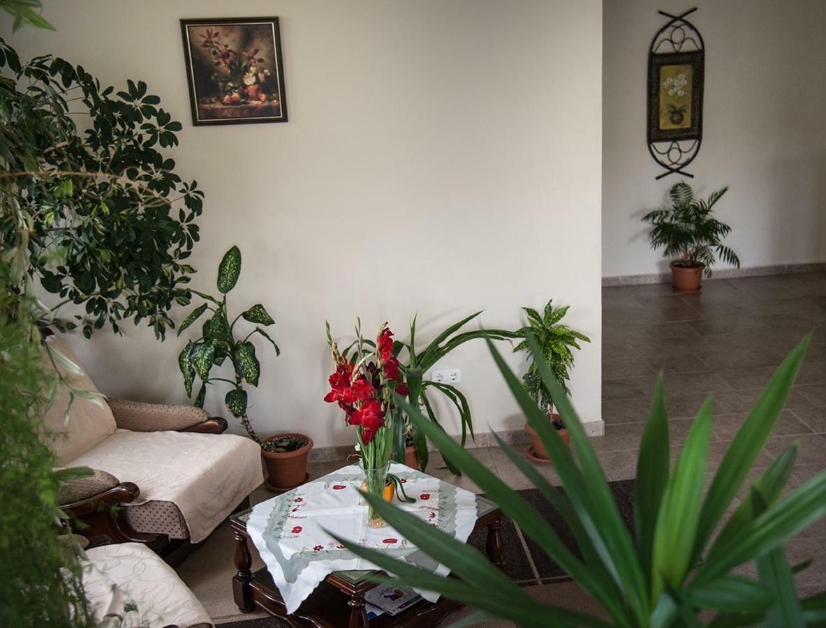 Pensiunea Casa Cu Flori Cisnădioara Zewnętrze zdjęcie