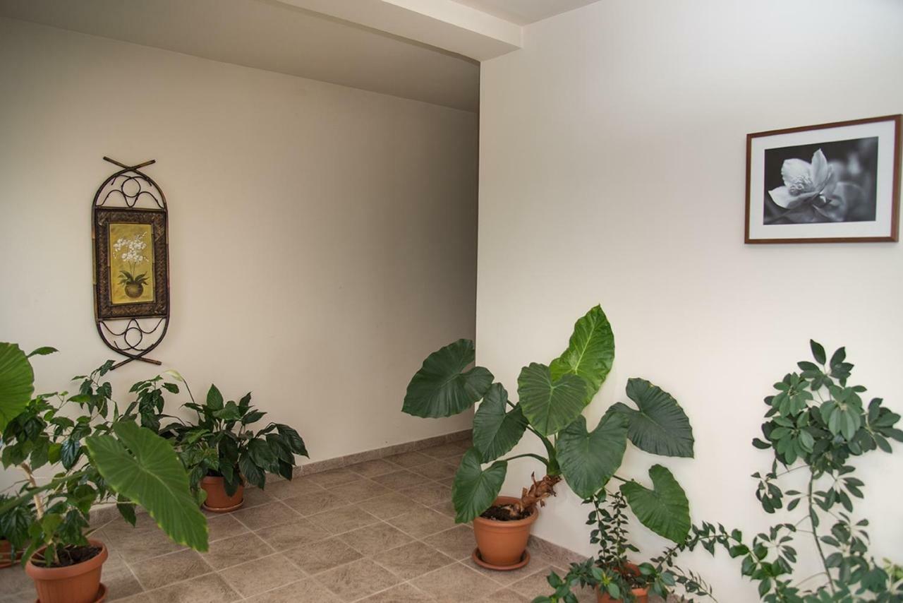 Pensiunea Casa Cu Flori Cisnădioara Zewnętrze zdjęcie