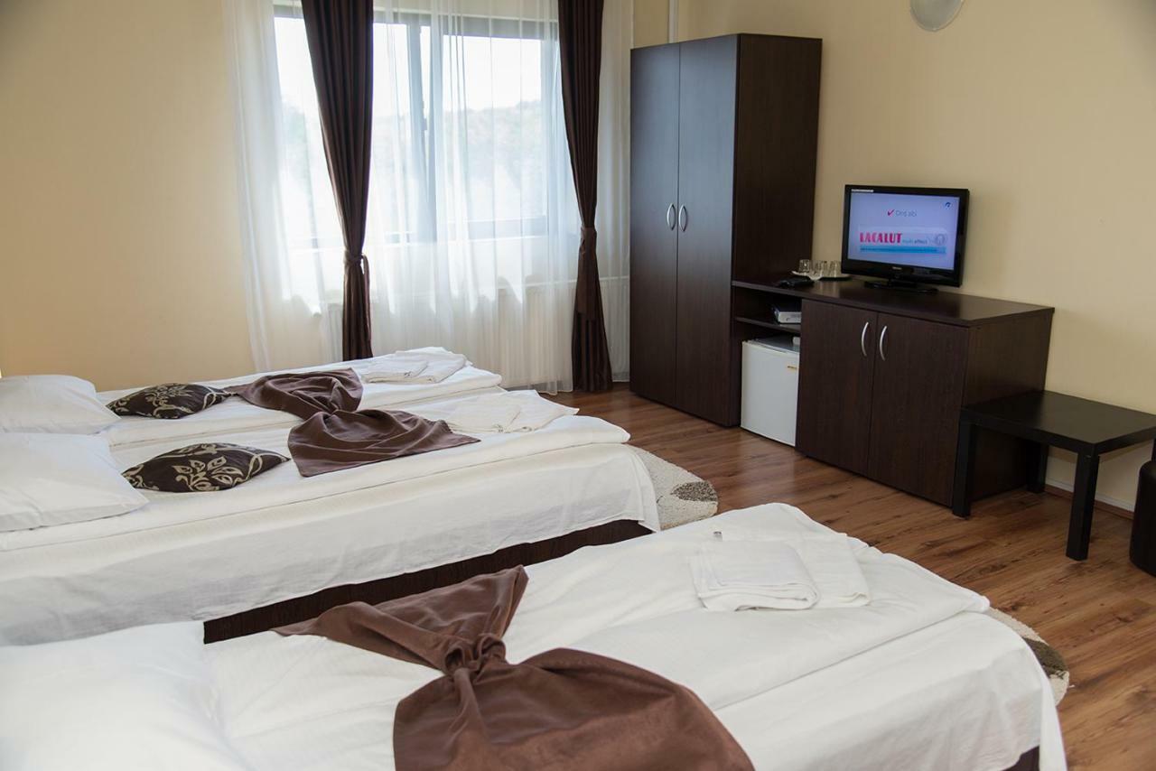 Pensiunea Casa Cu Flori Cisnădioara Zewnętrze zdjęcie